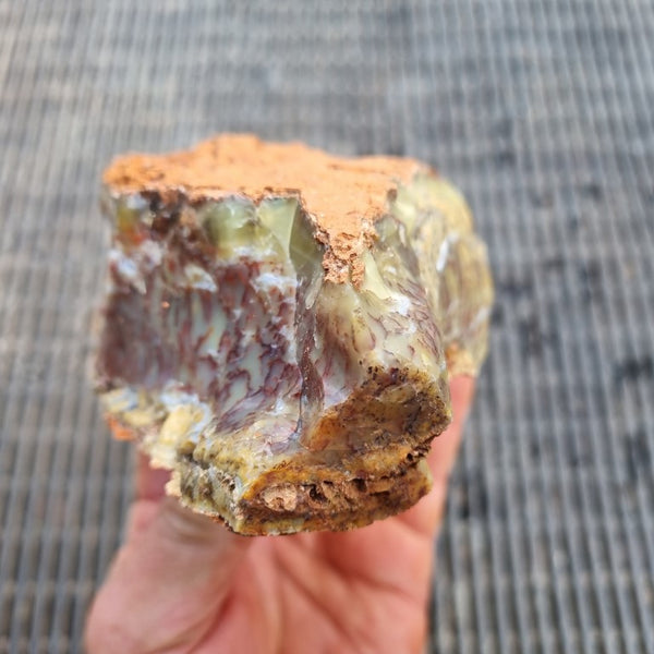 Dendritic Opal  rough.  DOR 197