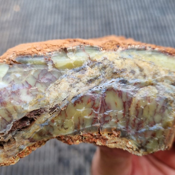 Dendritic Opal  rough.  DOR 197