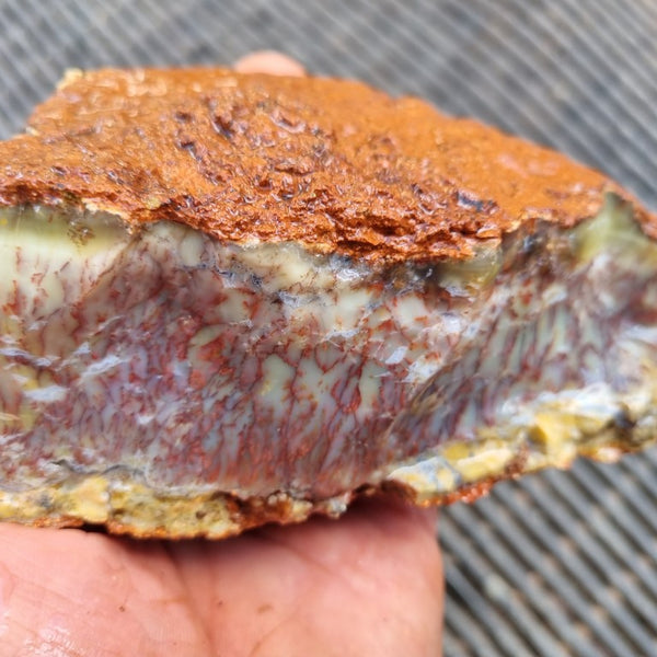 Dendritic Opal  rough.  DOR 197