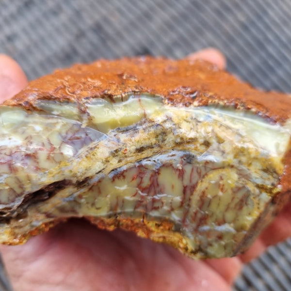 Dendritic Opal  rough.  DOR 197