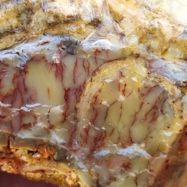 Dendritic Opal  rough.  DOR 197