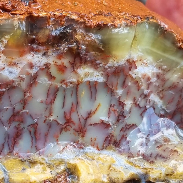 Dendritic Opal  rough.  DOR 197