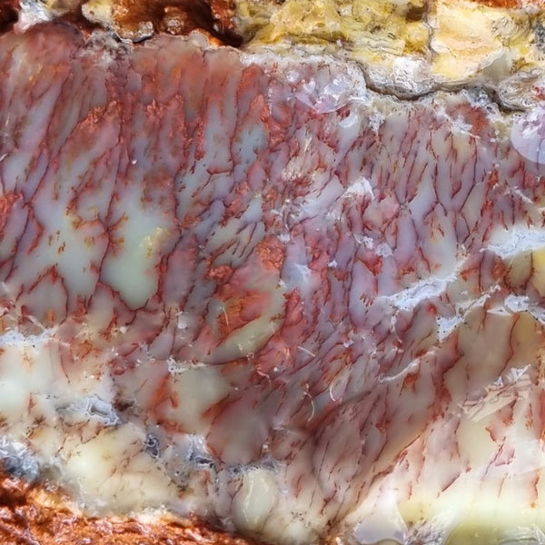 Dendritic Opal  rough.  DOR 197