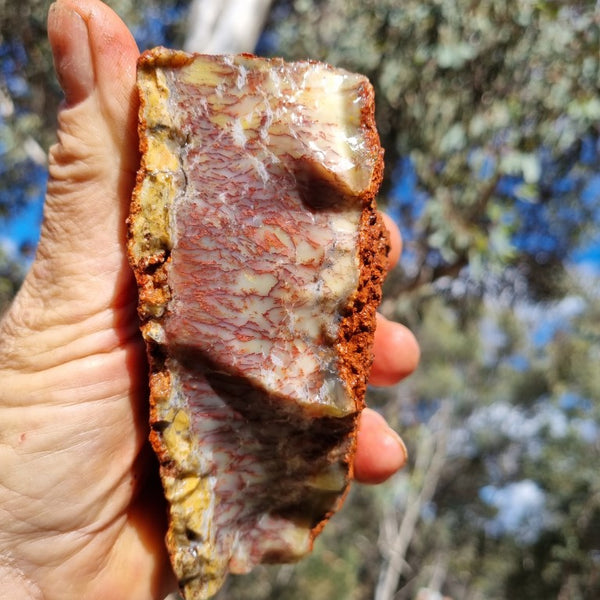 Dendritic Opal  rough.  DOR 197