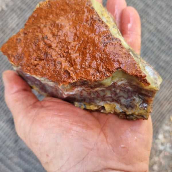 Dendritic Opal  rough.  DOR 197