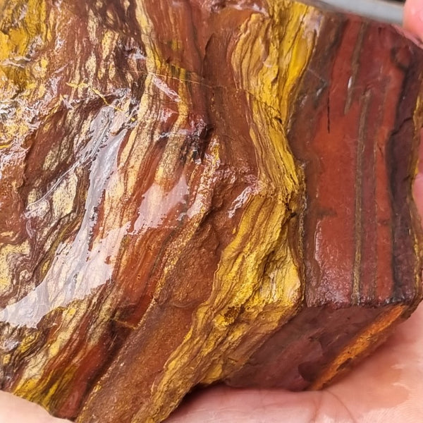 Desert Sunset rough.  DSR 119