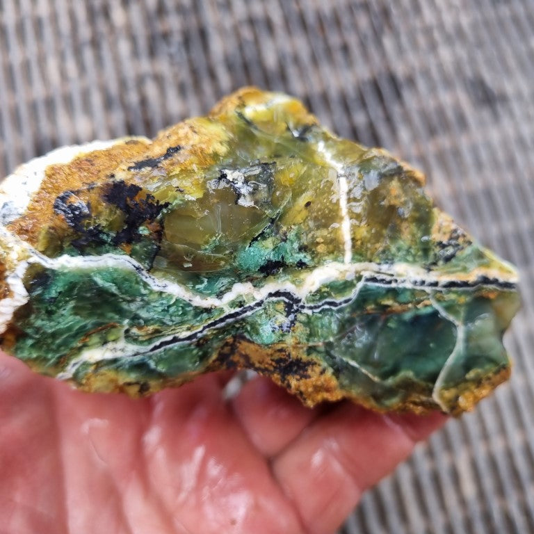 Green Opal  rough.  GOR 108