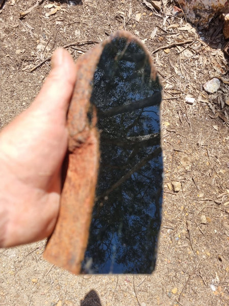 BJ113 Polished "Black Jade" Actinolite .