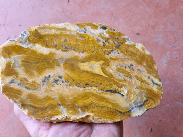 Polished Crazy Lace Agate  CLA259