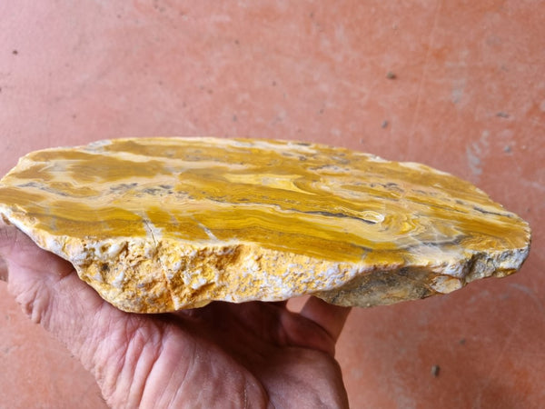 Polished Crazy Lace Agate  CLA259