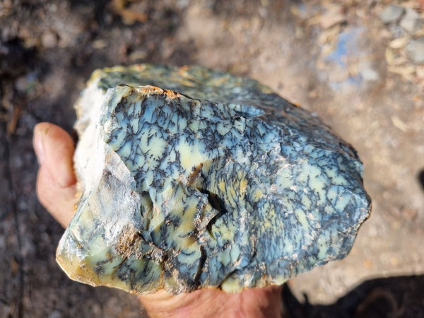 Dendritic Opal  rough.  DOR 201