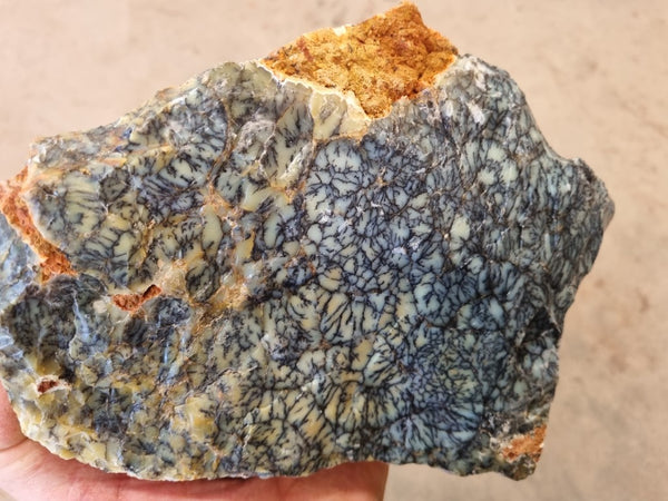 Dendritic Opal  rough.  DOR 201