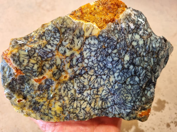 Dendritic Opal  rough.  DOR 201