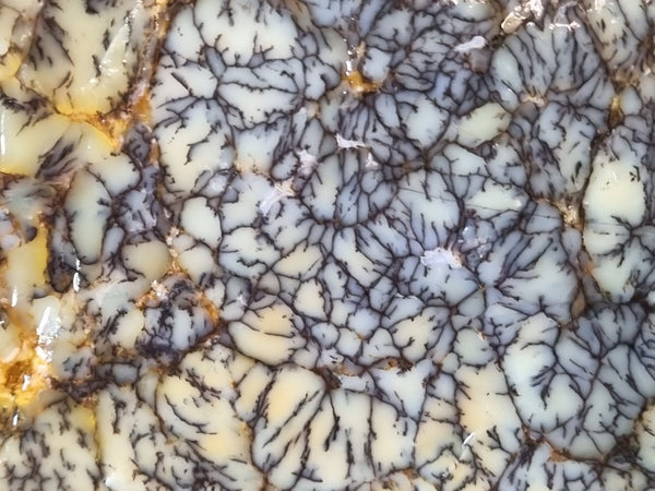 Dendritic Opal  rough.  DOR 201