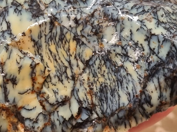 Dendritic Opal  rough.  DOR 201