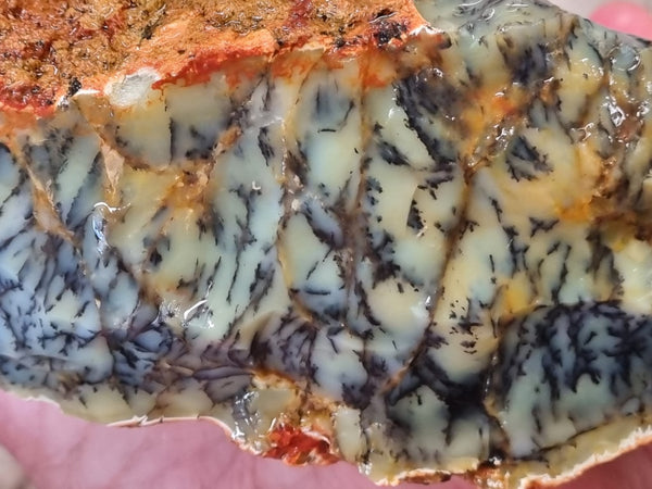 Dendritic Opal  rough.  DOR 201