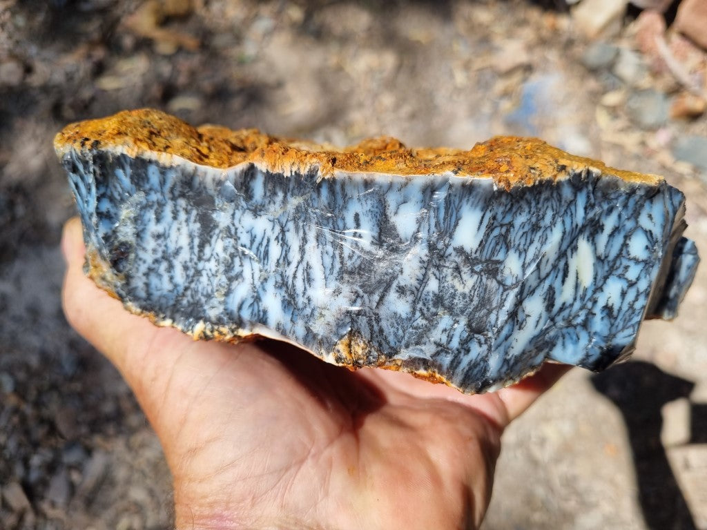 Dendritic Opal  rough.  DOR 202