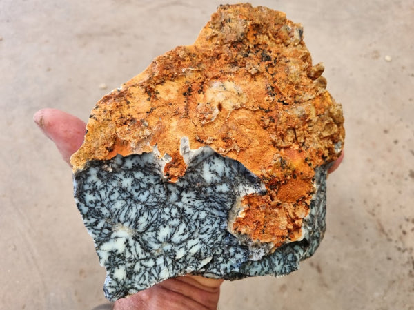 Dendritic Opal  rough.  DOR 202