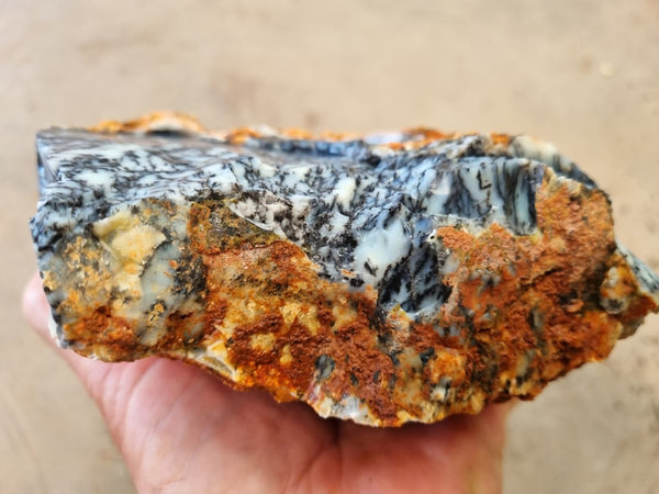 Dendritic Opal  rough.  DOR 202
