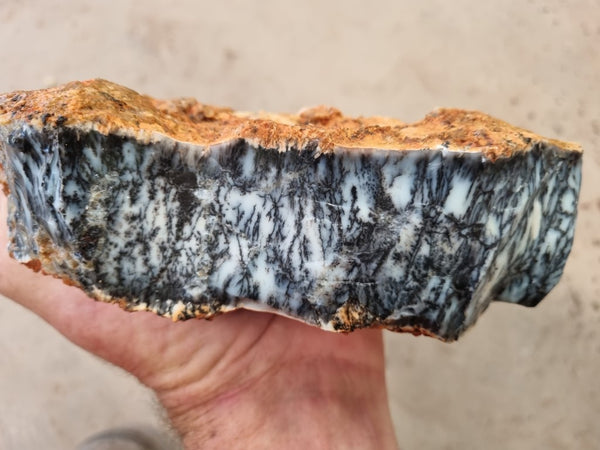 Dendritic Opal  rough.  DOR 202