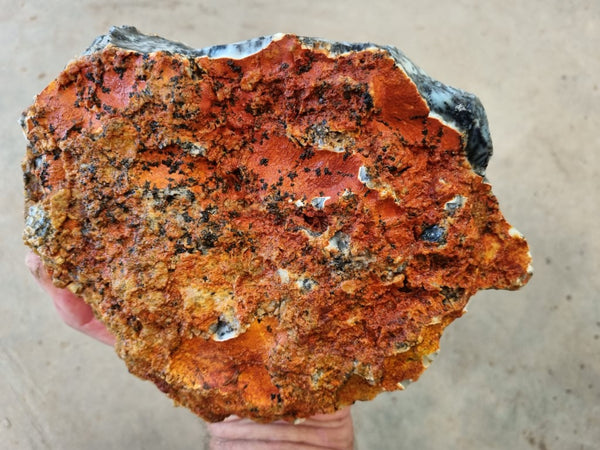 Dendritic Opal  rough.  DOR 202