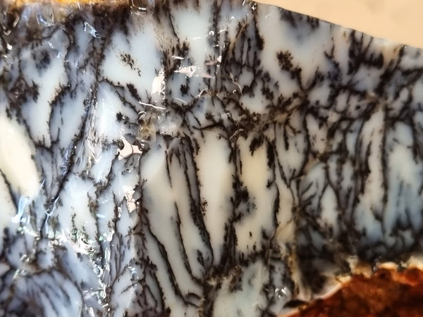 Dendritic Opal  rough.  DOR 202