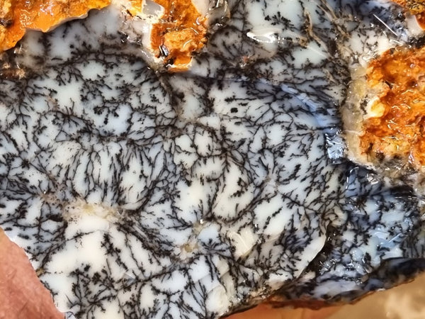 Dendritic Opal  rough.  DOR 202