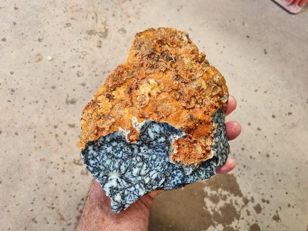 Dendritic Opal  rough.  DOR 202