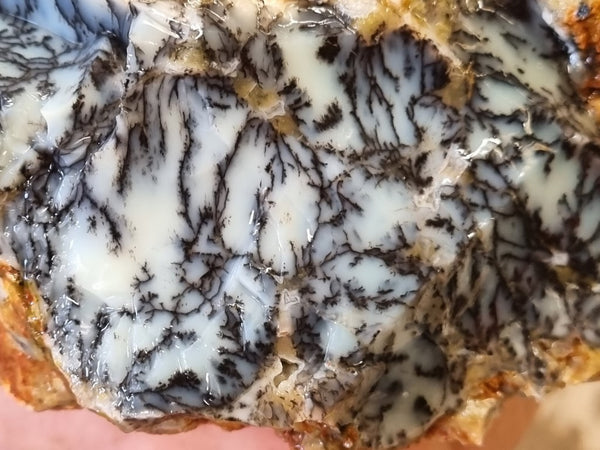 Dendritic Opal  rough.  DOR 202