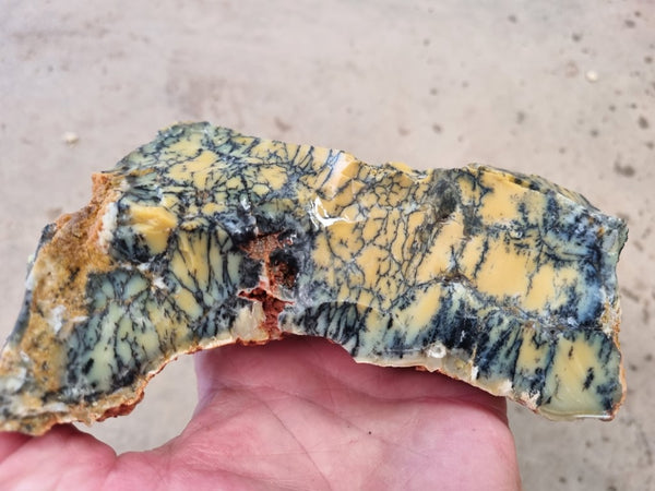 Dendritic Opal  rough.  DOR 203