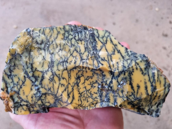 Dendritic Opal  rough.  DOR 203