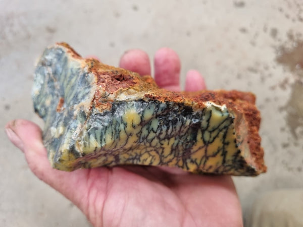 Dendritic Opal  rough.  DOR 203