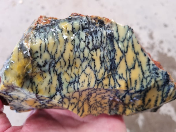 Dendritic Opal  rough.  DOR 203