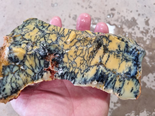 Dendritic Opal  rough.  DOR 203