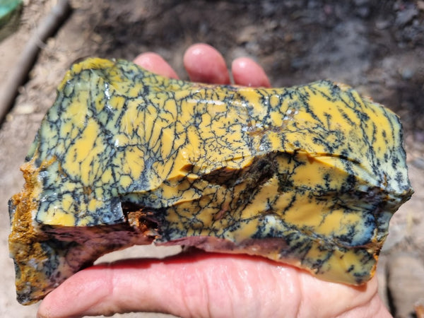 Dendritic Opal  rough.  DOR 203