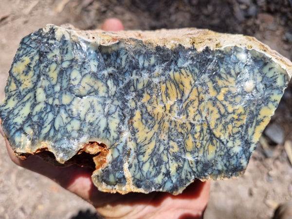 Dendritic Opal  rough.  DOR 204