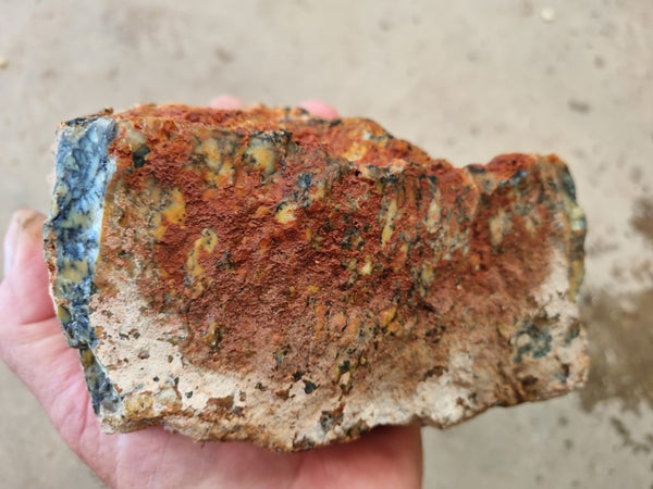 Dendritic Opal  rough.  DOR 204