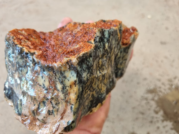 Dendritic Opal  rough.  DOR 204