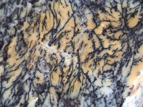 Dendritic Opal  rough.  DOR 204
