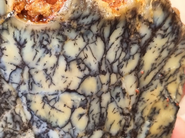 Dendritic Opal  rough.  DOR 204