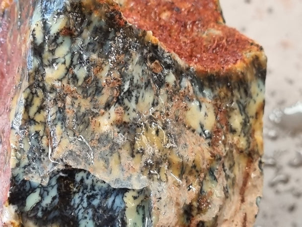 Dendritic Opal  rough.  DOR 204