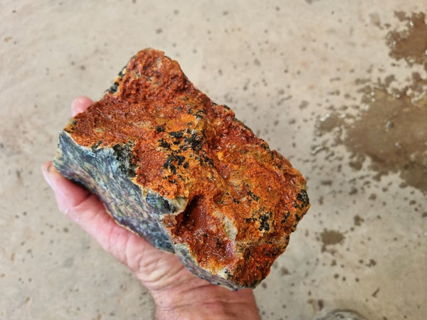 Dendritic Opal  rough.  DOR 204