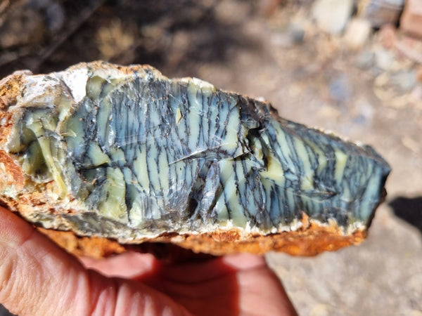 Dendritic Opal  rough.  DOR 205