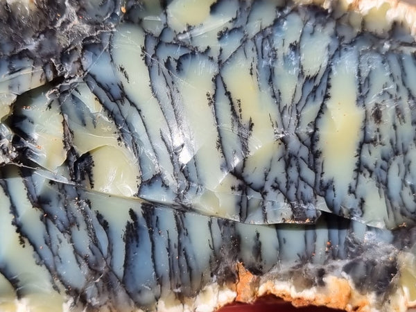 Dendritic Opal  rough.  DOR 205