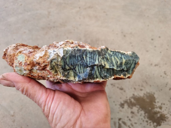 Dendritic Opal  rough.  DOR 205