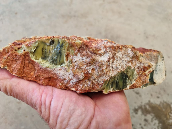 Dendritic Opal  rough.  DOR 205