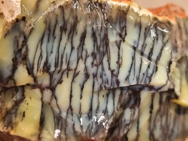 Dendritic Opal  rough.  DOR 205