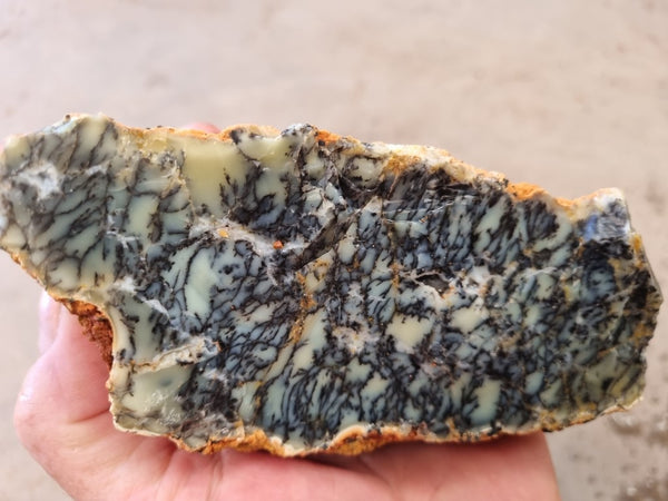 Dendritic Opal  rough.  DOR 206