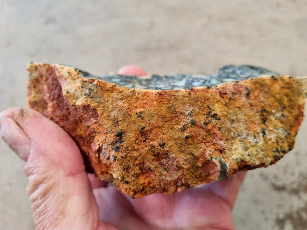 Dendritic Opal  rough.  DOR 206