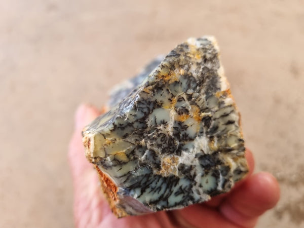Dendritic Opal  rough.  DOR 206